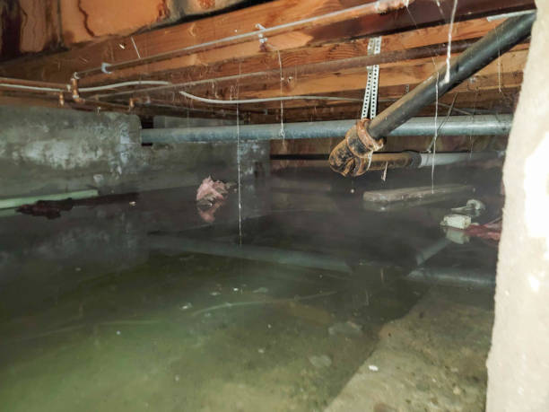 Carpet water damage restoration in Franklin Lakes, NJ